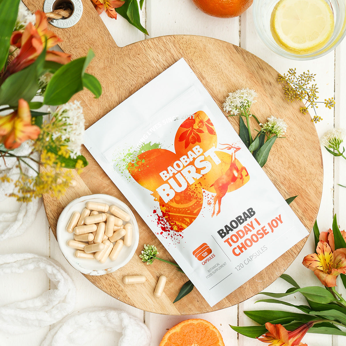 Baobab (Bundle)