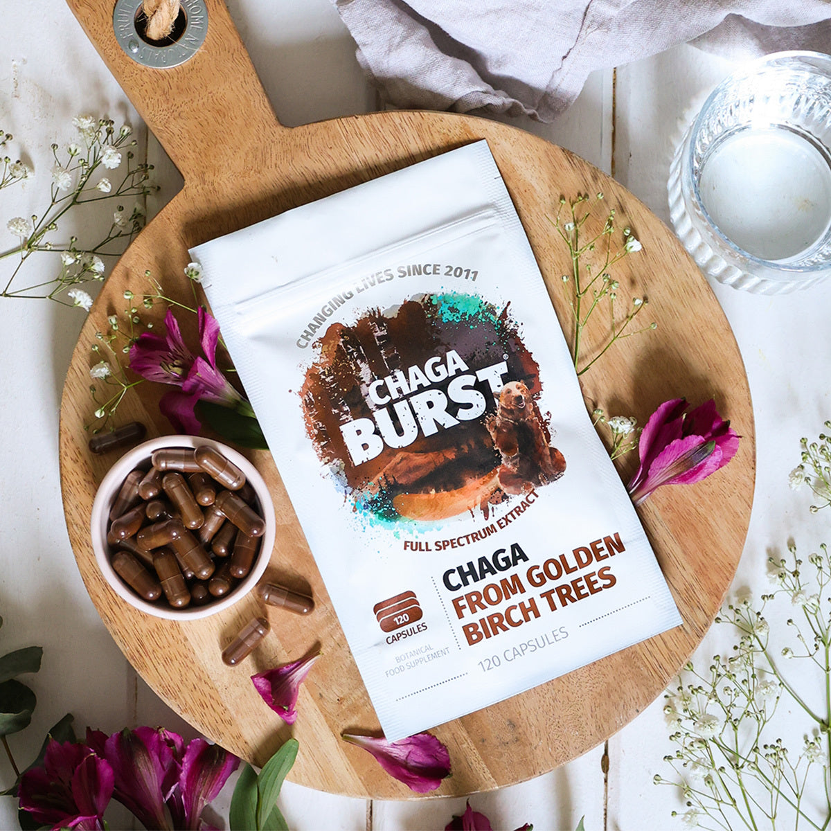 Chaga Extract (Bundle)