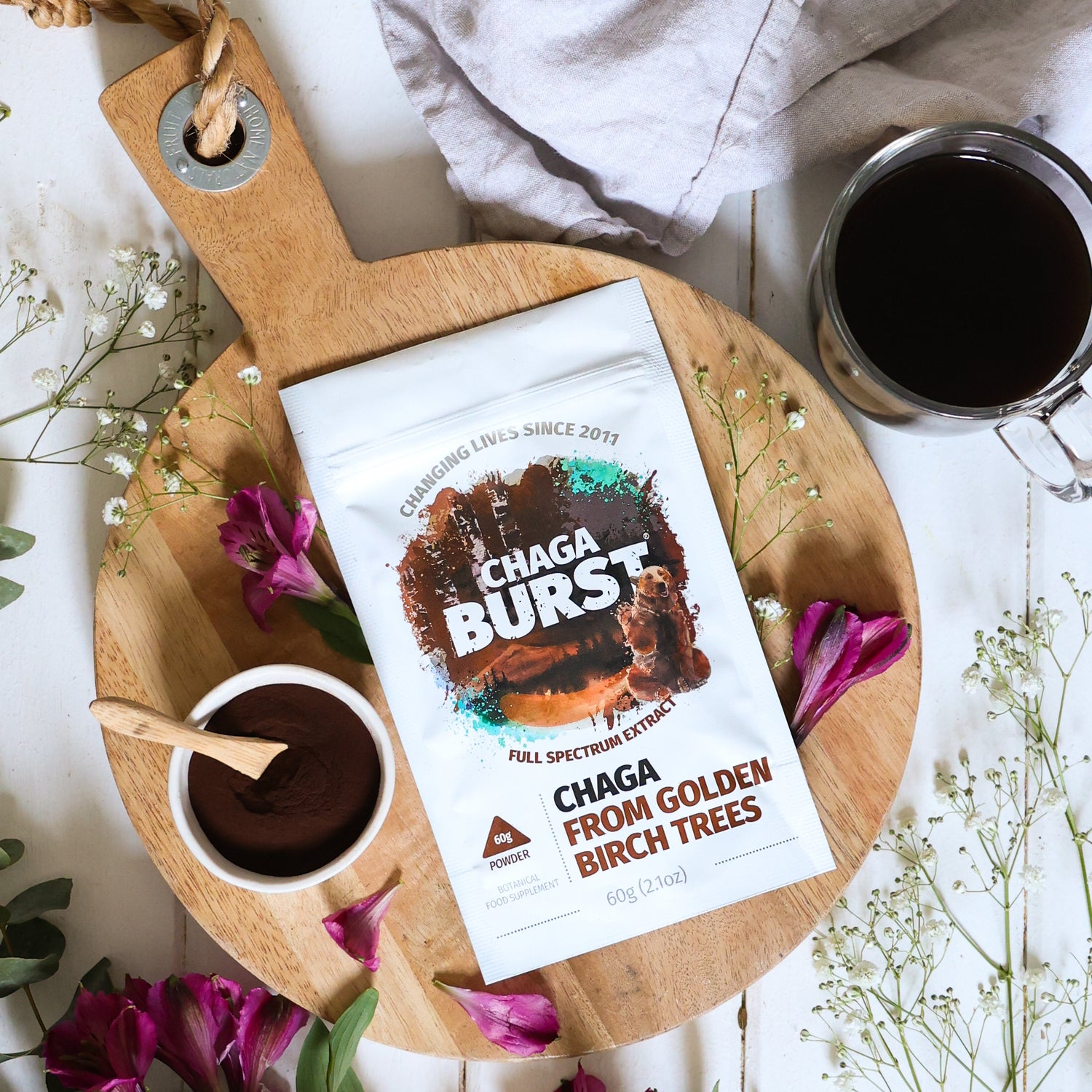 Chaga Extract