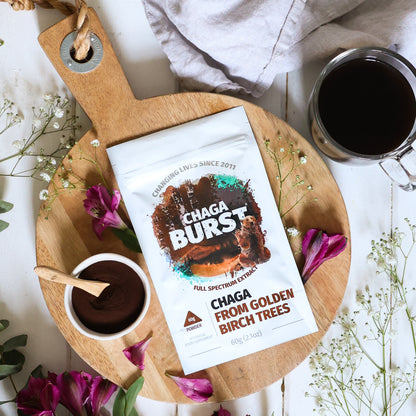 Chaga Extract