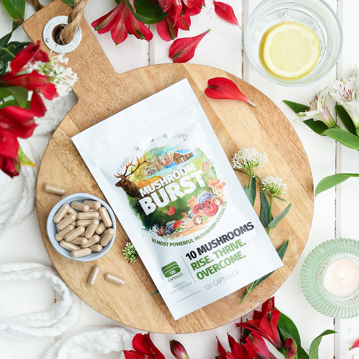 10 Mushroom Extract